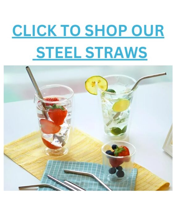 Stainless Steel Straws