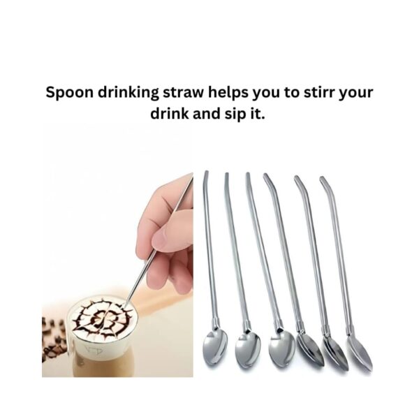 6 Pcs Stainless Steel Spoon Straw No. KK-V-15-5