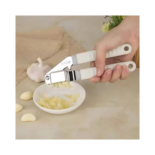 Garlic Clamp B1301