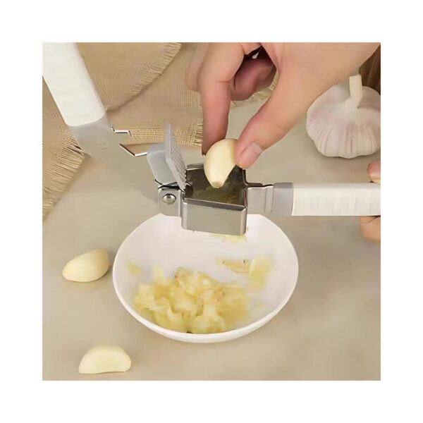 Garlic Clamp B1301