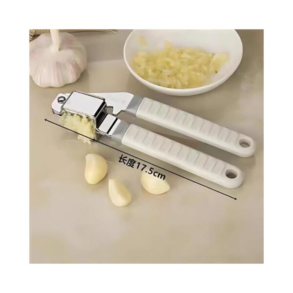 Garlic Clamp B1301