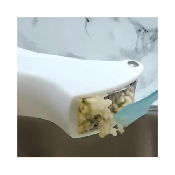 Garlic Clamp B1304