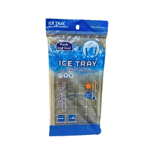 Ice tray 179-294